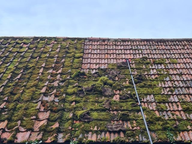 Roof moss removal in progress
