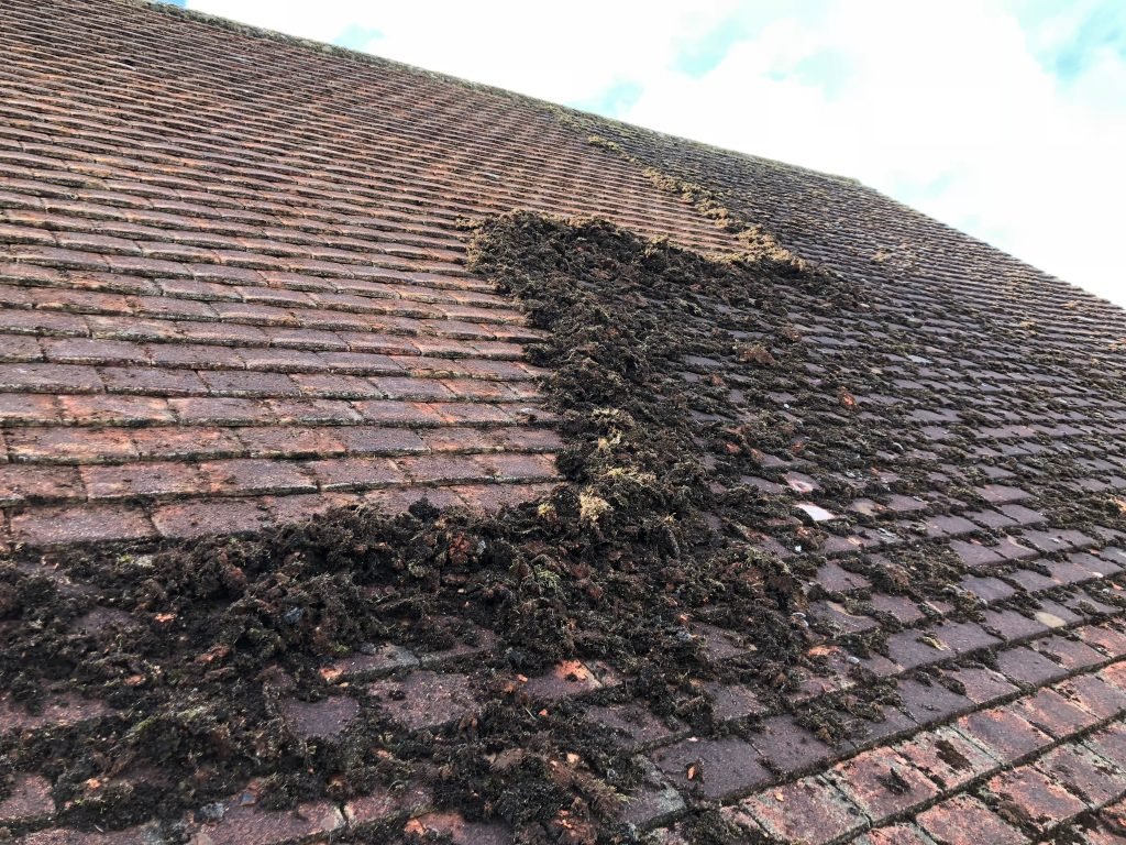 Before and after roof cleaning