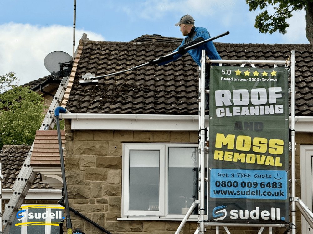 Clean roof after treatment